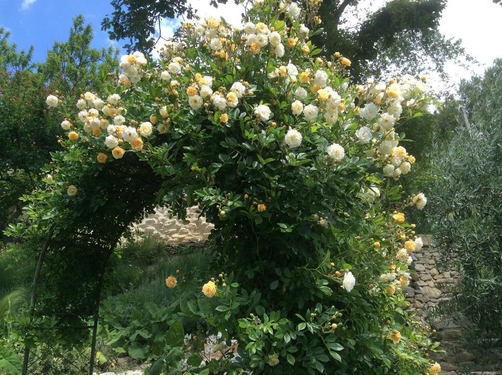 Sous Les Canniers Saumane-de-Vaucluse Εξωτερικό φωτογραφία