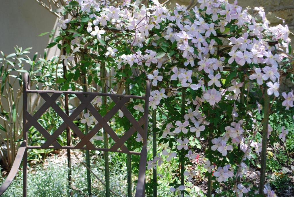 Sous Les Canniers Saumane-de-Vaucluse Εξωτερικό φωτογραφία